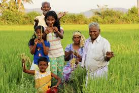 யாழ் மாவட்ட விவசாய திணைக்களத்தின் விசேட அறிவித்தல்